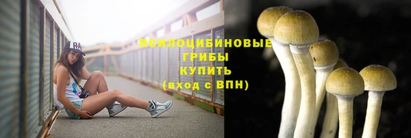 Альфа ПВП Богородицк