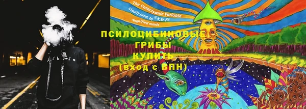 эйфоретик Богородск
